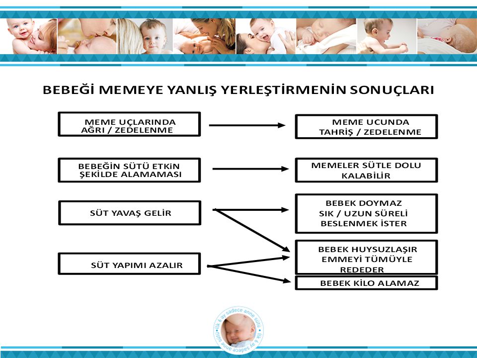İstatistik ve Bilgi İşlem Daire Başkanlığı Türkiye Halk Sağlığı Kurumu T.C.