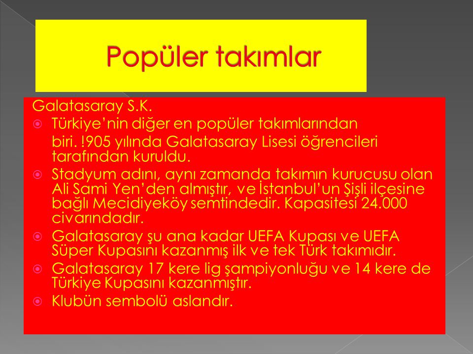 Galatasaray S.K.  Türkiye’nin diğer en popüler takımlarından biri.