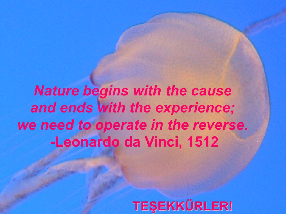 Nature begins with the cause and ends with the experience; we need to operate in the reverse.