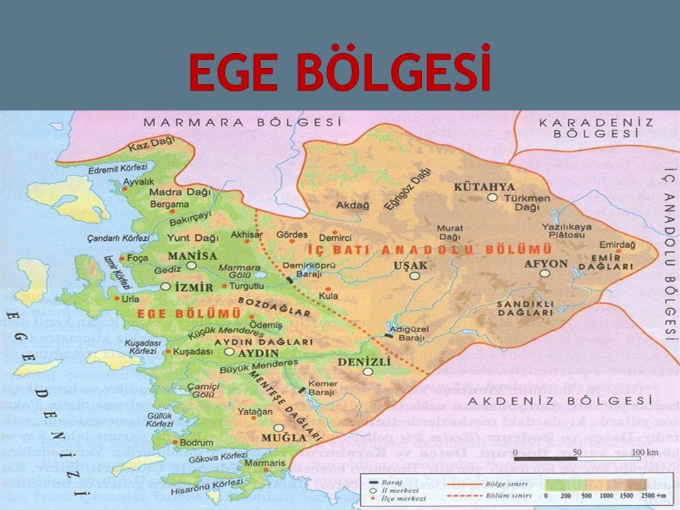 Ege