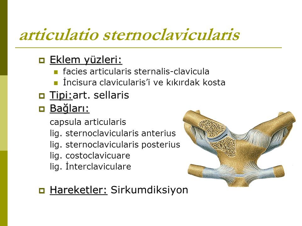 coloana vertebrală și durere în articulațiile picioarelor suplimente alimentare pentru durerile articulare