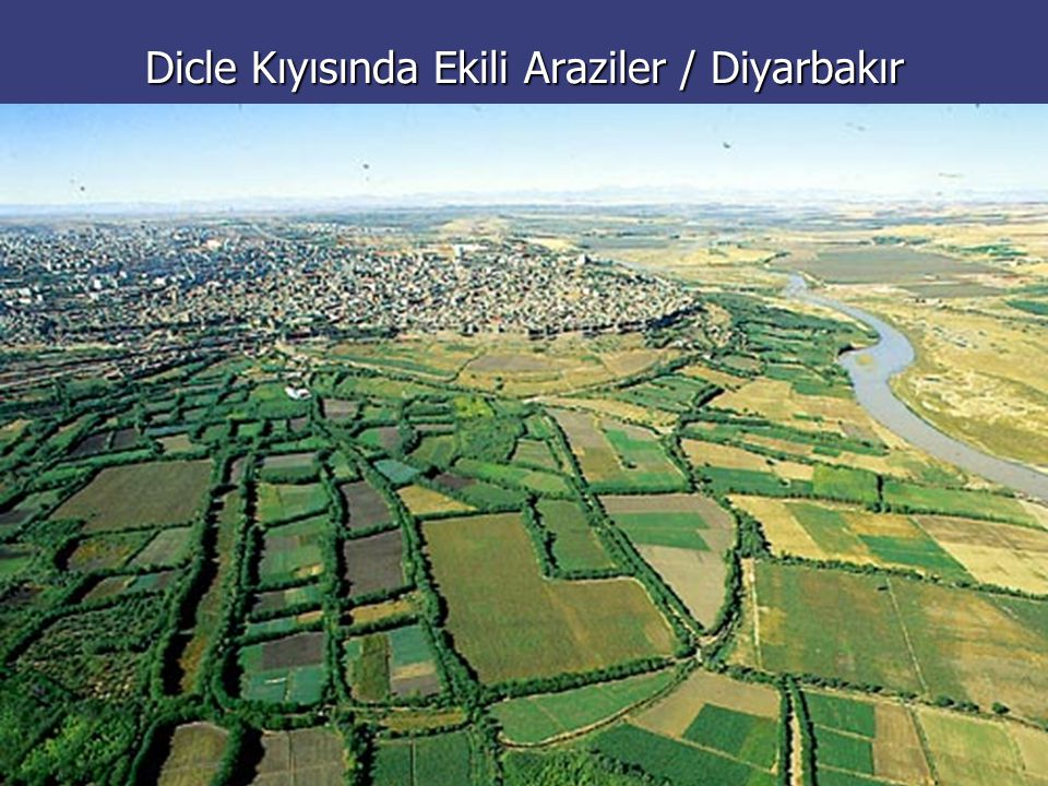 Dicle Kıyısında Ekili Araziler / Diyarbakır
