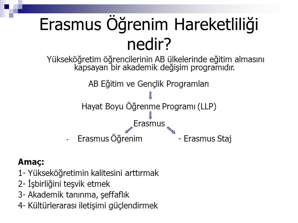 Erasmus Öğrenim Hareketliliği nedir.