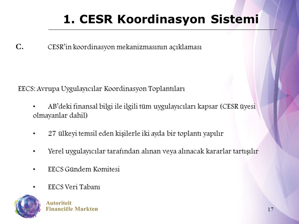 17 1. CESR Koordinasyon Sistemi CESR’in koordinasyon mekanizmasının açıklaması C.