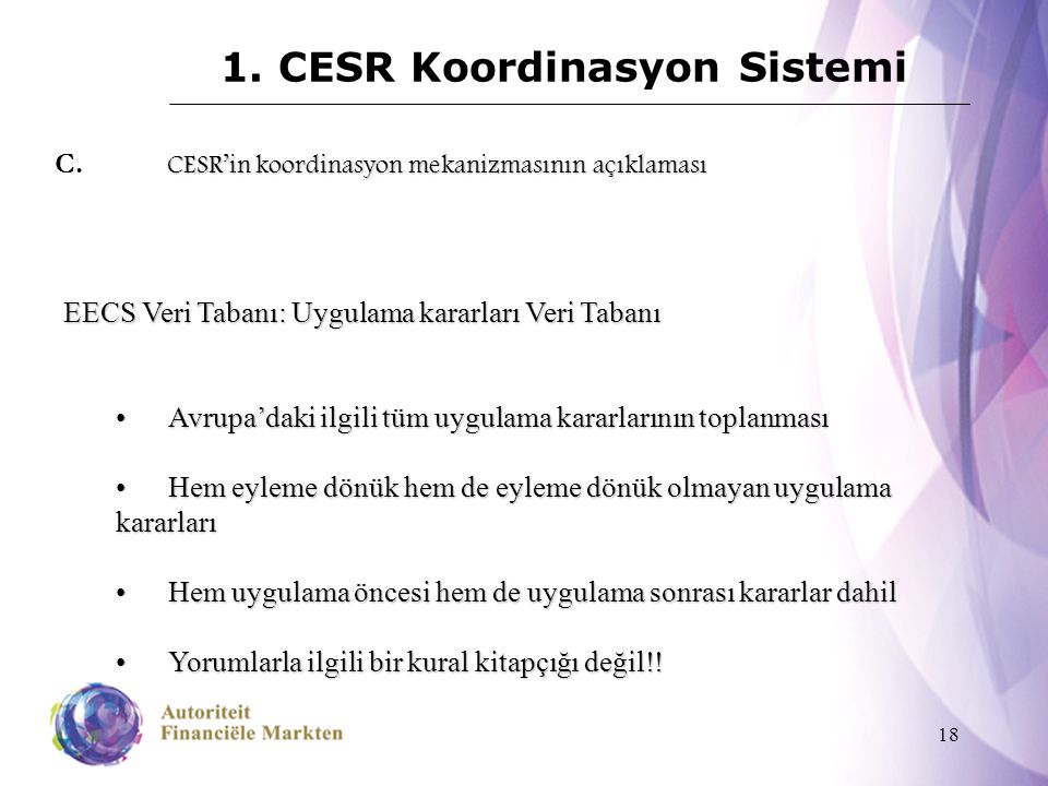 18 1. CESR Koordinasyon Sistemi CESR’in koordinasyon mekanizmasının açıklaması C.
