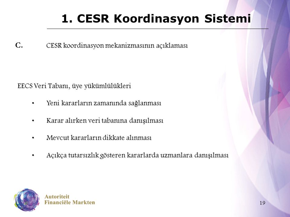 19 1. CESR Koordinasyon Sistemi CESR koordinasyon mekanizmasının açıklaması C.