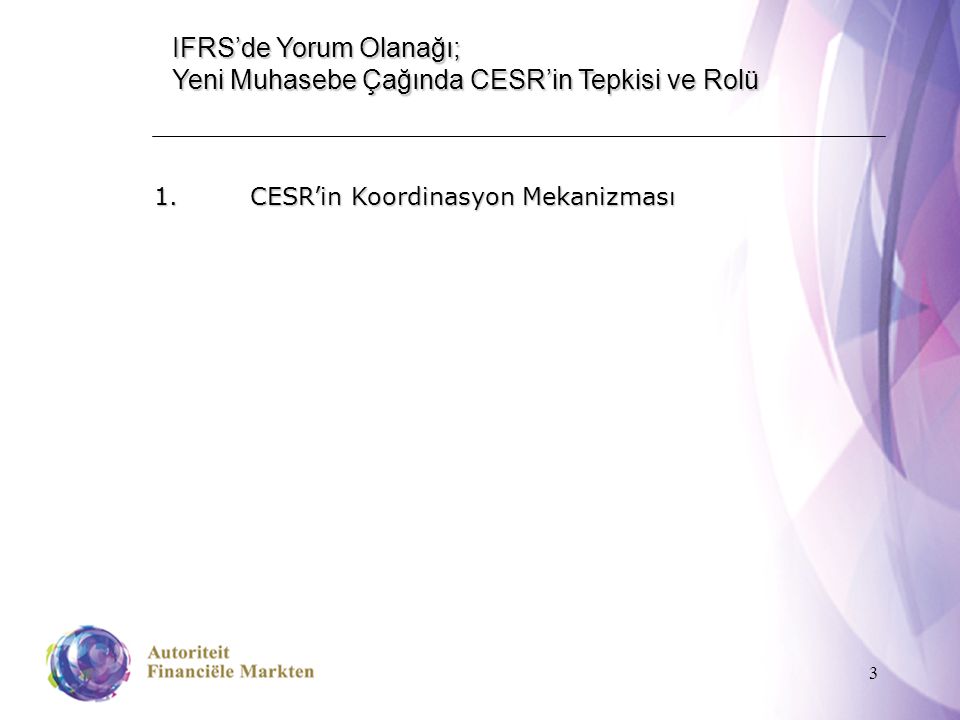 3 IFRS’de Yorum Olanağı; Yeni Muhasebe Çağında CESR’in Tepkisi ve Rolü 1.CESR’in Koordinasyon Mekanizması