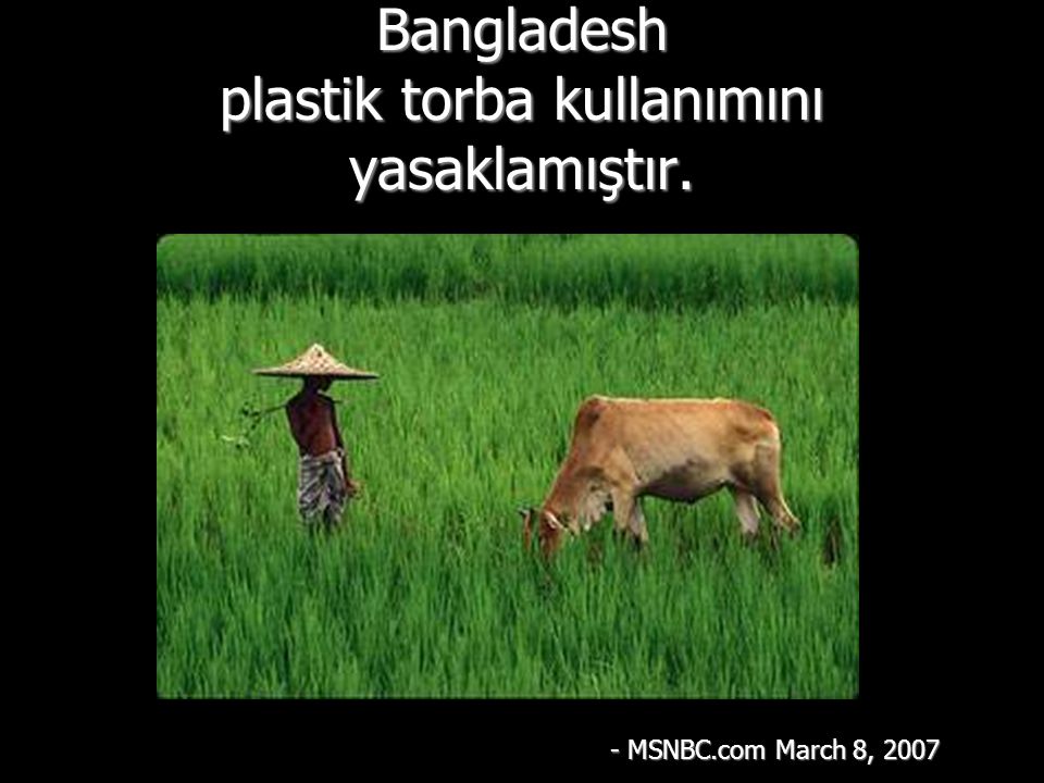 Bangladesh plastik torba kullanımını yasaklamıştır. - MSNBC.com March 8, 2007