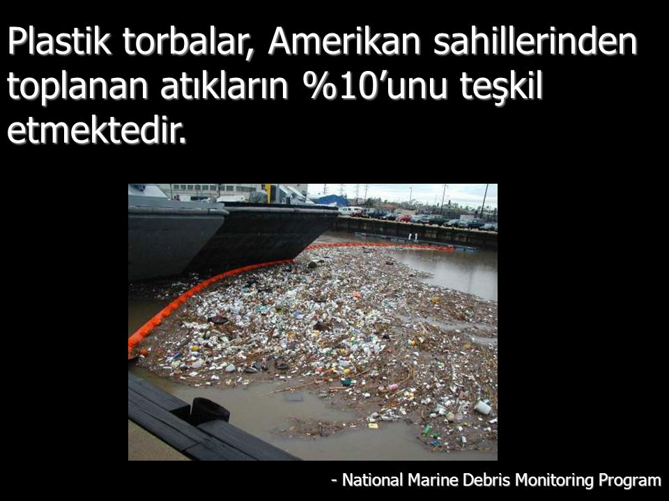 Plastik torbalar, Amerikan sahillerinden toplanan atıkların %10’unu teşkil etmektedir.