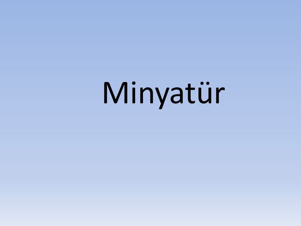 Minyatür