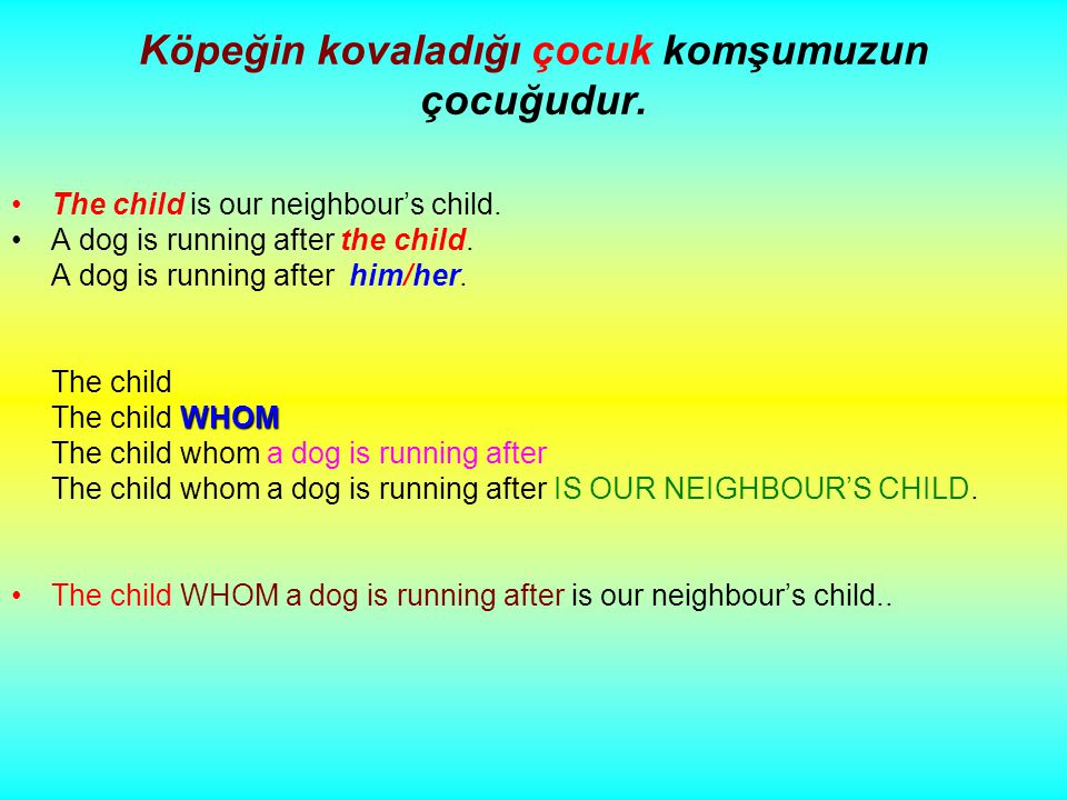 Köpeğin kovaladığı çocuk komşumuzun çocuğudur. The child is our neighbour’s child.