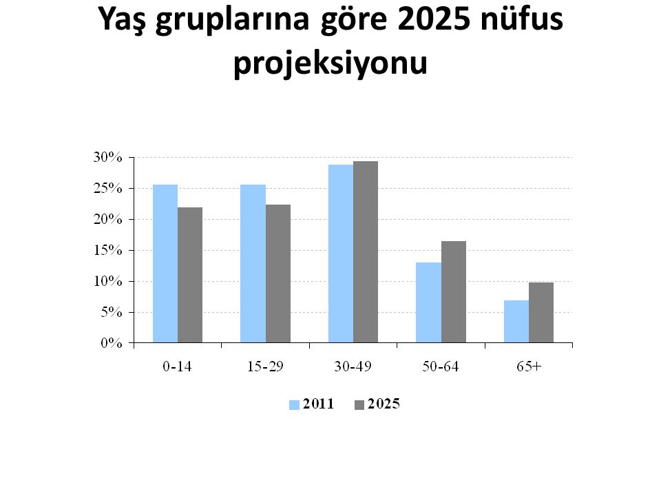 Yaş gruplarına göre 2025 nüfus projeksiyonu