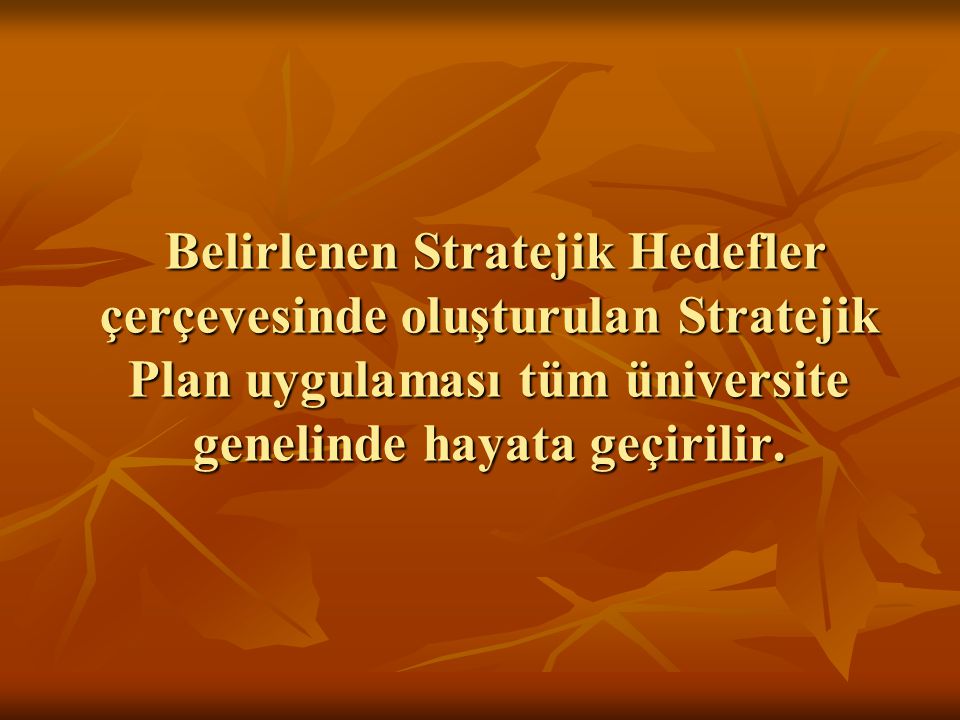 Belirlenen Stratejik Hedefler çerçevesinde oluşturulan Stratejik Plan uygulaması tüm üniversite genelinde hayata geçirilir.