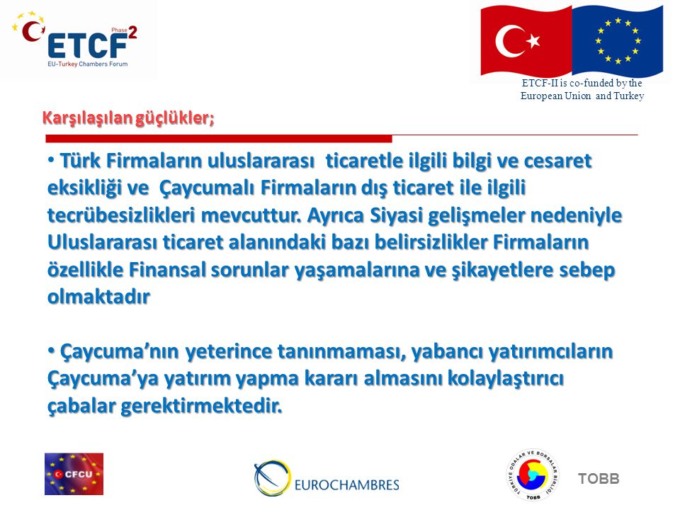 ETCF-II is co-funded by the European Union and Turkey TOBB Karşılaşılan güçlükler; Türk Firmaların uluslararası ticaretle ilgili bilgi ve cesaret eksikliği ve Çaycumalı Firmaların dış ticaret ile ilgili tecrübesizlikleri mevcuttur.