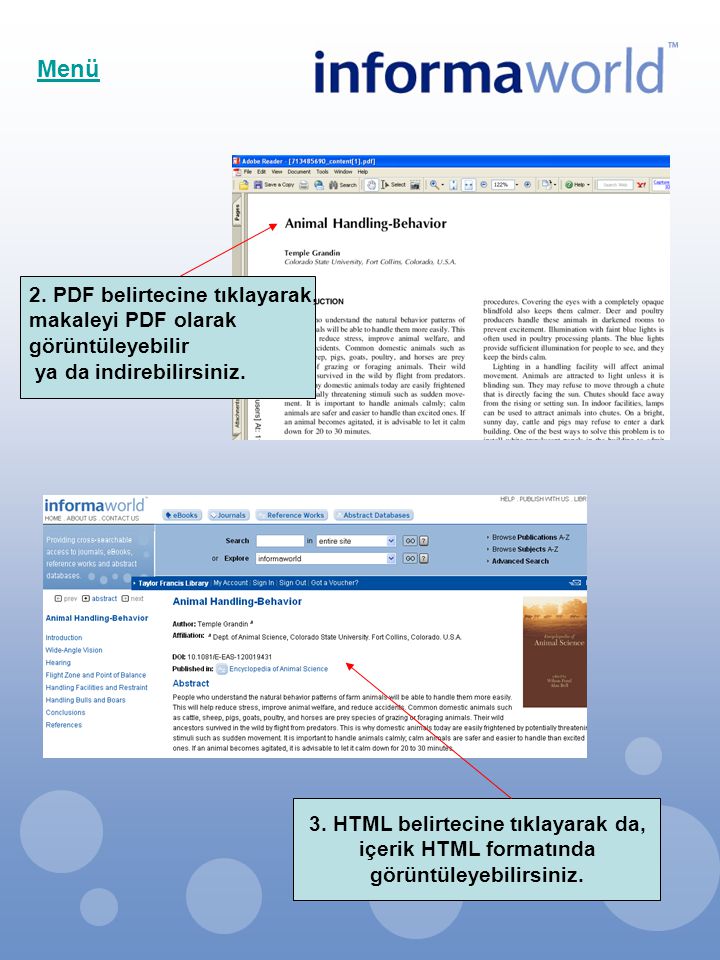 2. PDF belirtecine tıklayarak, makaleyi PDF olarak görüntüleyebilir ya da indirebilirsiniz.
