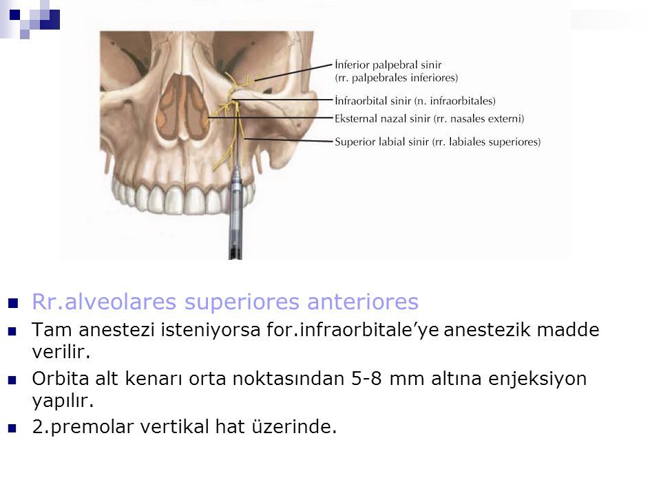 Rr.alveolares superiores anteriores Tam anestezi isteniyorsa for.infraorbitale’ye anestezik madde verilir.